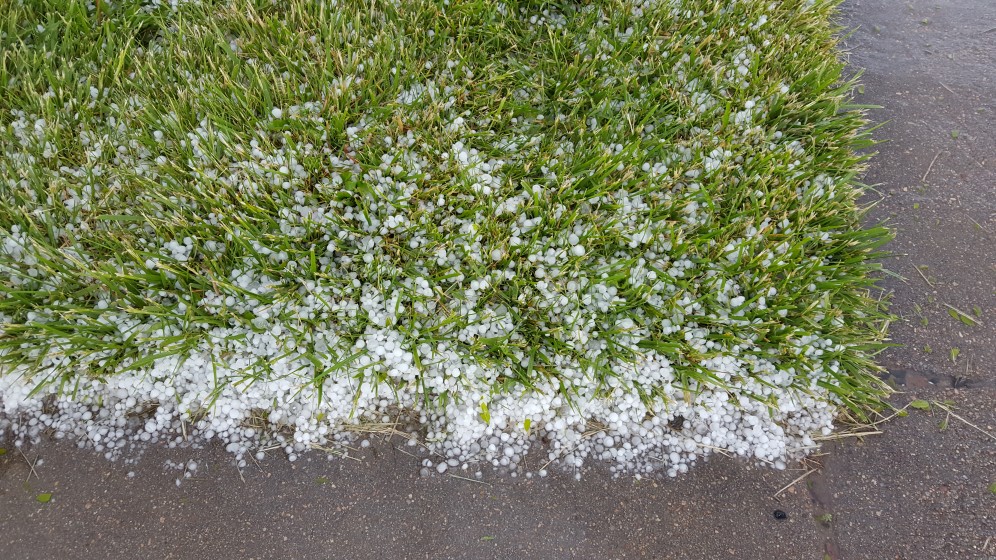 Hail on the grass at the rest stop