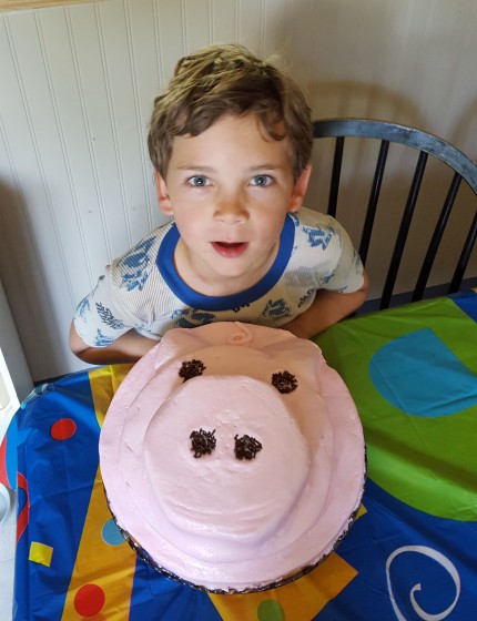 Teddy and his pig cake.