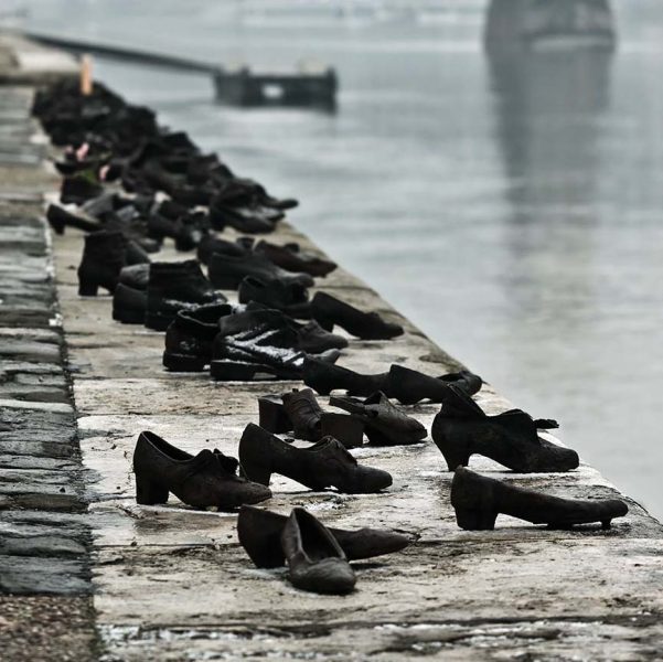 0816 Danube shoes