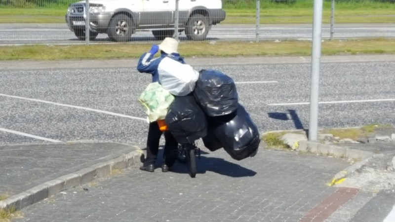 How many bags can a bag lady bike?