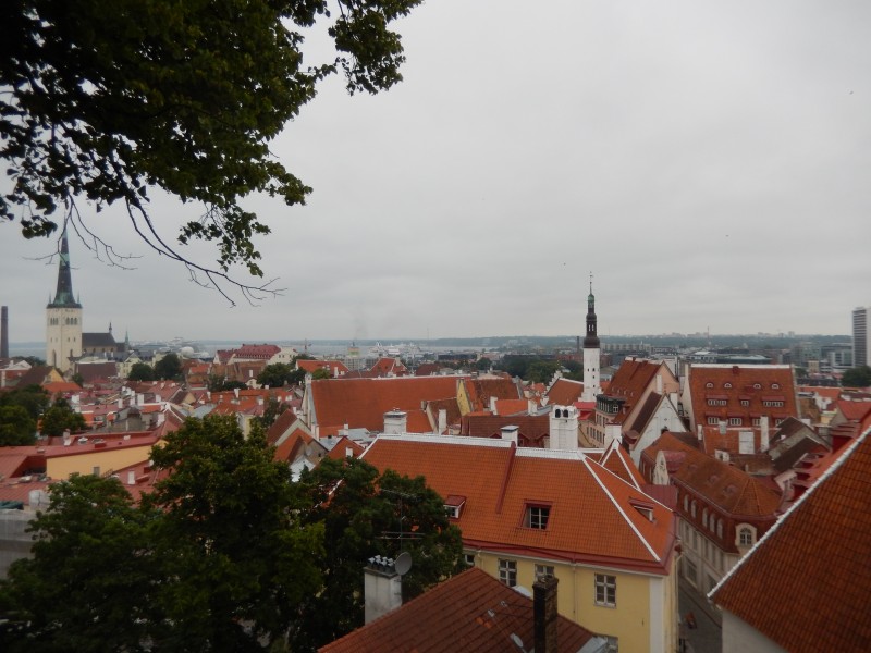 A view of low town from high town in Tallinn.