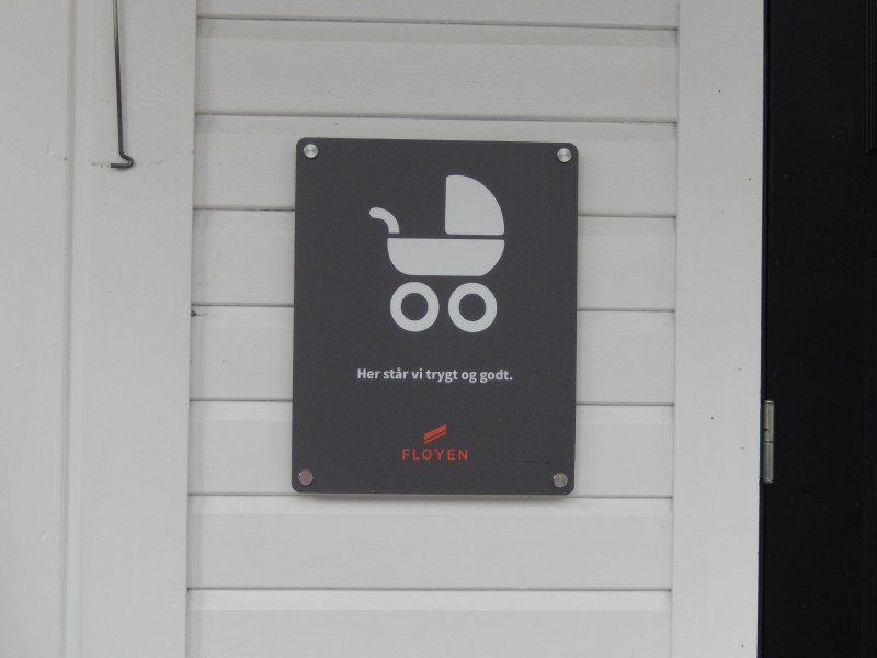 If it's the sign icon, this must be the standard baby transportation.