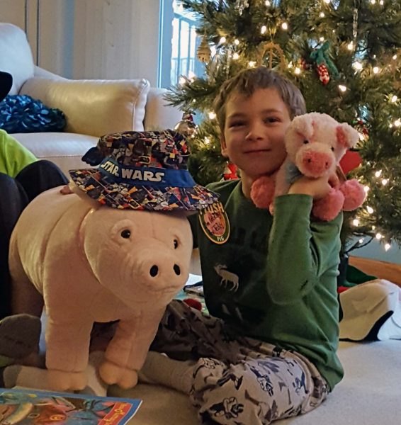 Teddy loves pigs and the big hit for him was two new pigs. Kari texted a photo of him sleeping with the big pig after her family went home. Notice the pig likes Teddy's new cap too.